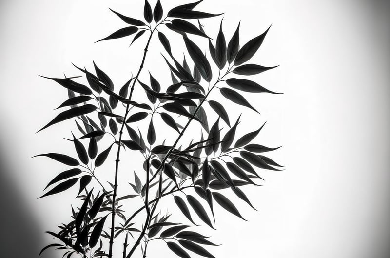 Sustainable Wall Art